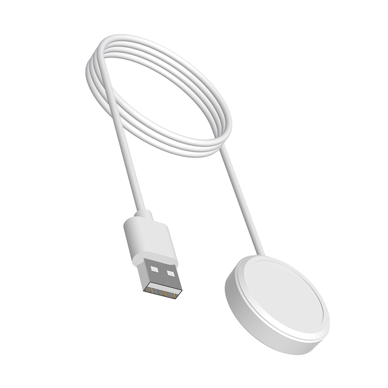 Adaptador de cargador para Sma - Smartwatch English reseña y precio